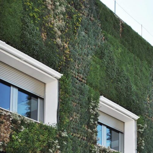 ventanas en muro con plantas ecologico